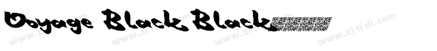 Voyage Black Black字体转换